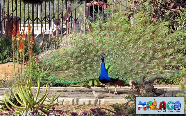 Parque de la Paloma en Benalmádena